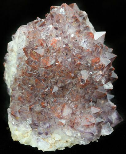 Thunder Bay Amethyst Cluster With Hematite #46305